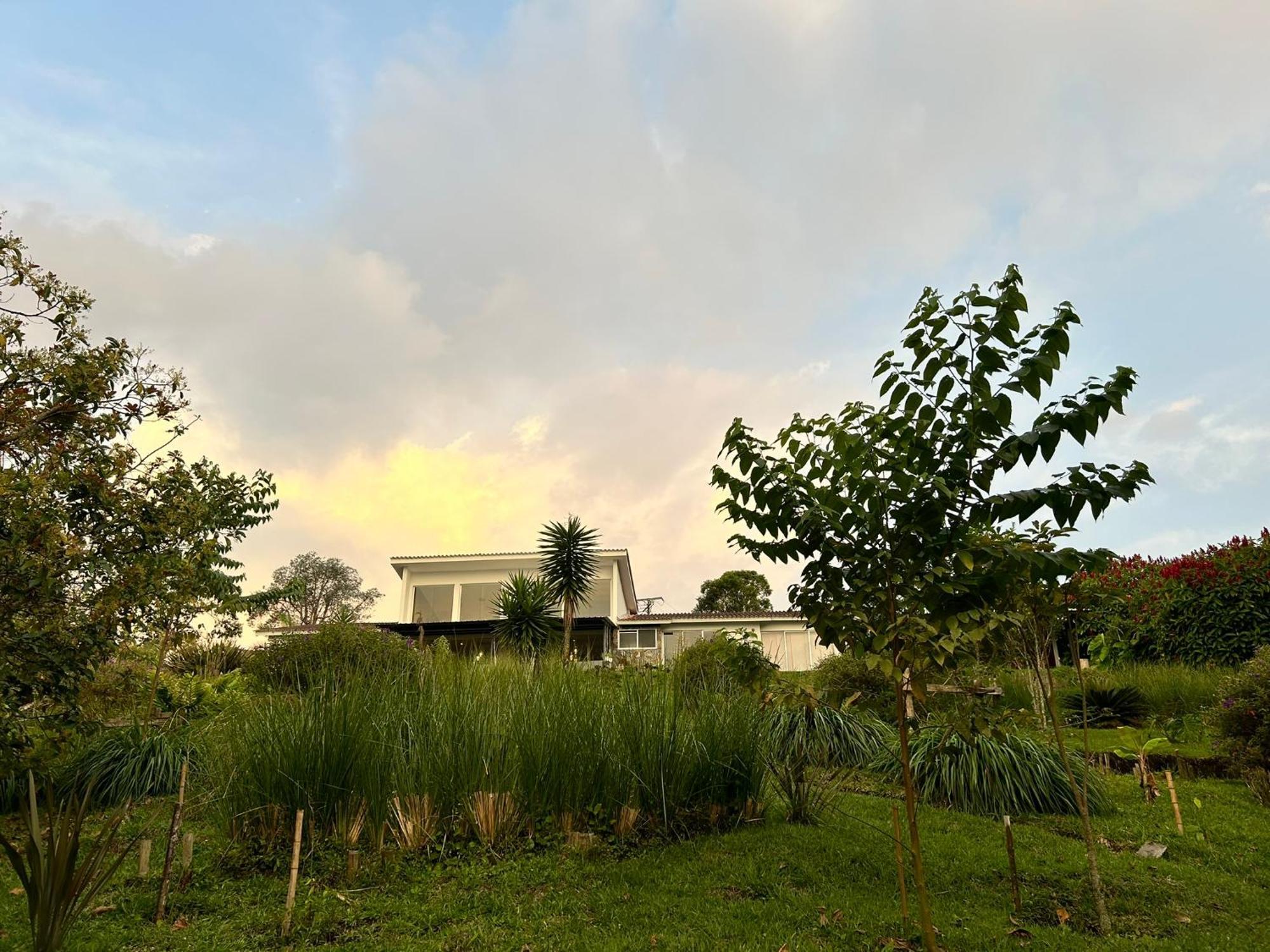 Wayra Natura Circasia