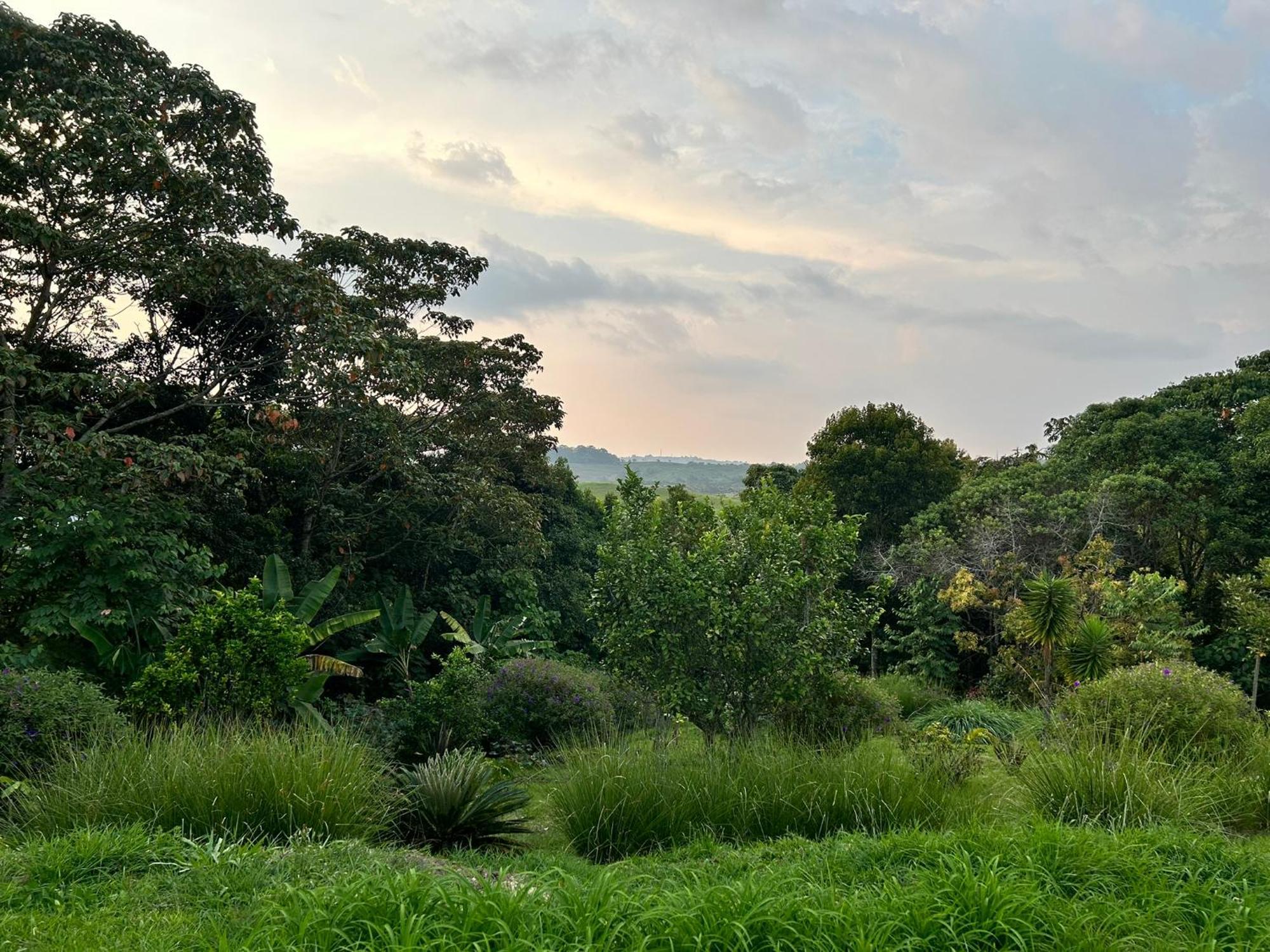 Wayra Natura Holiday home