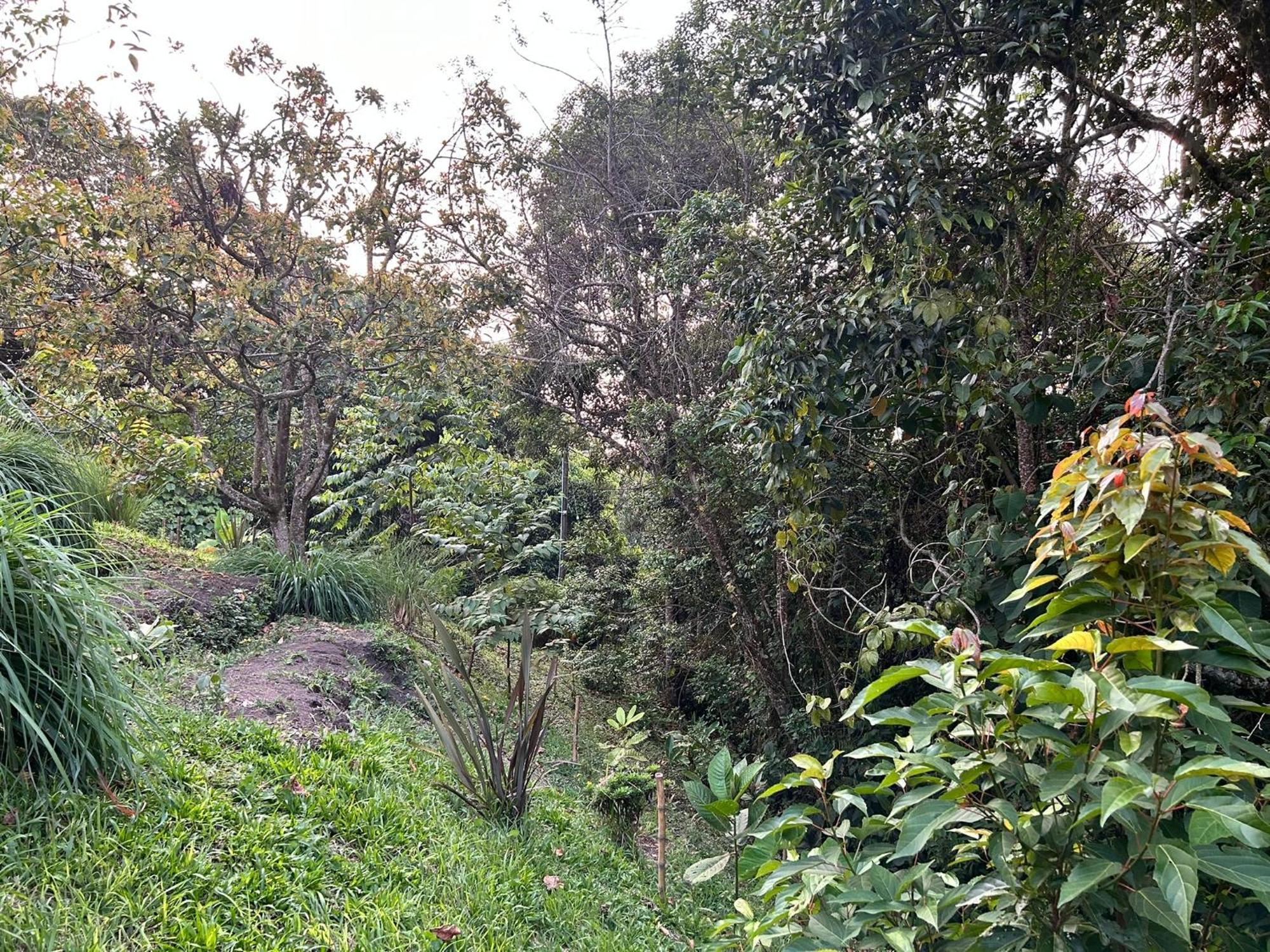 Wayra Natura Holiday home *