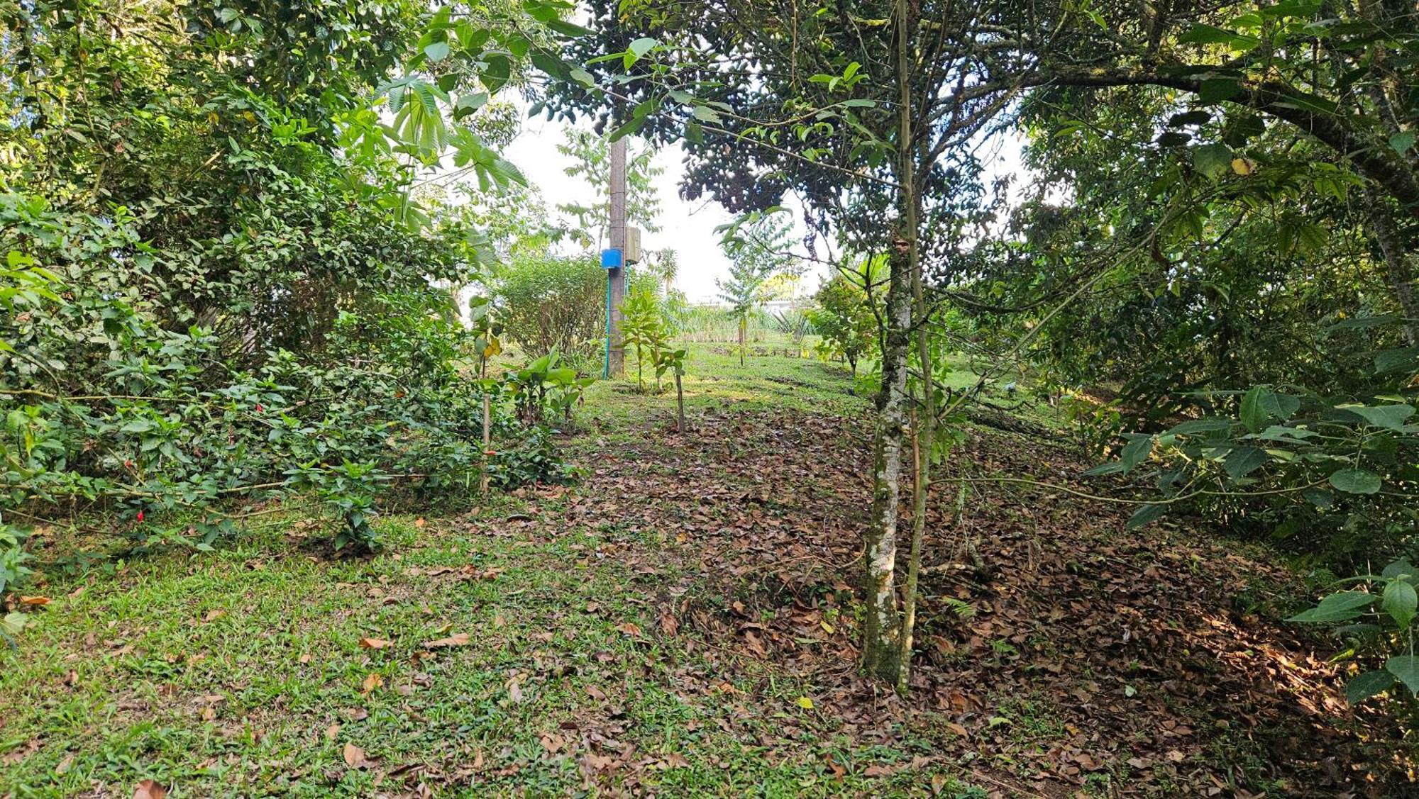Wayra Natura * Circasia