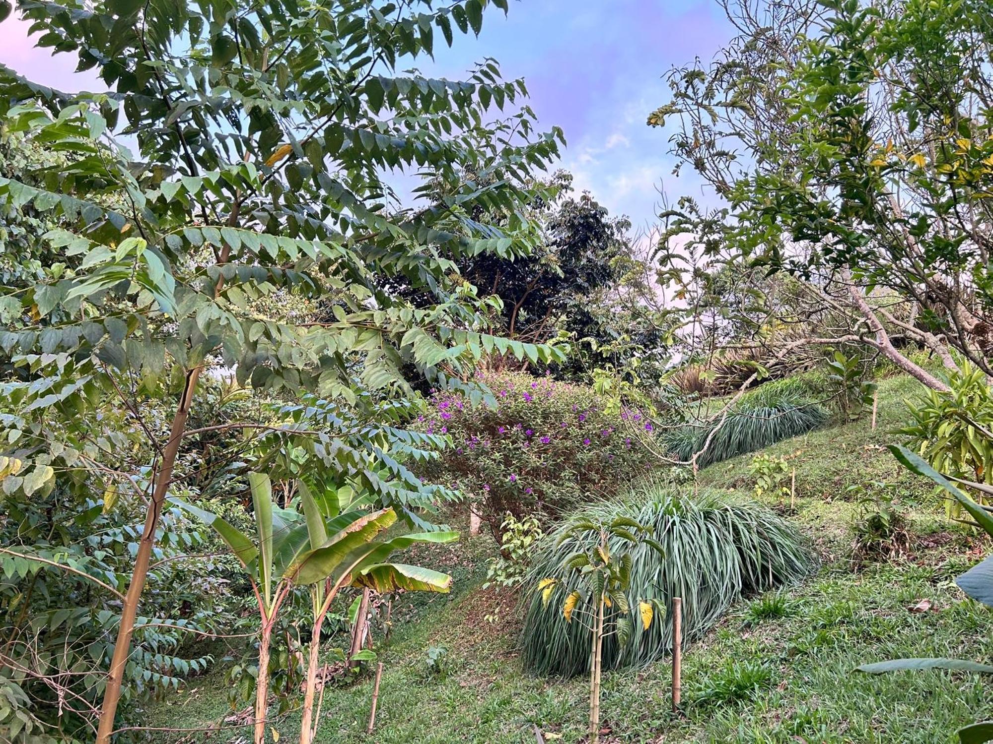 Holiday home Wayra Natura *